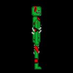 watermelon-cd_17612204202499.jpg